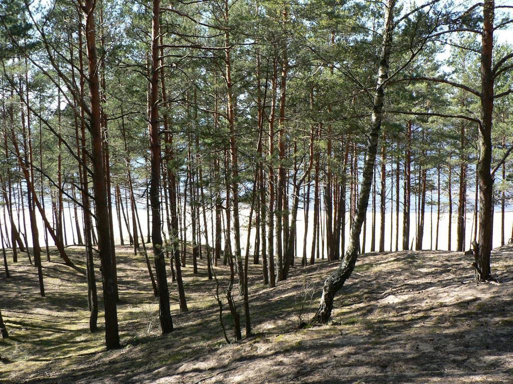 Krauklis Beach Apartments Saulkrasti Eksteriør bilde